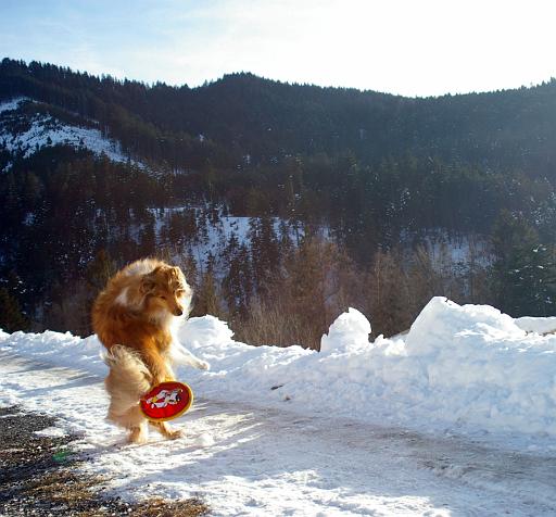 Fotos f. Homepage Galerie 030